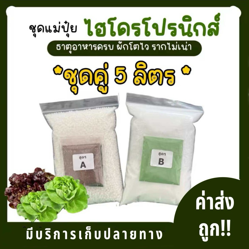 ชุดปุ๋ยเอบี **ขนาด5ลิตร** AB ปุ๋ยไฮโดรโปนิกส์ ปุ๋ยไฮโดรโปนิกส์น้ํานิ่ง ปุ๋ยผักHydroponics ปุ๋ยสารละลายเอบี