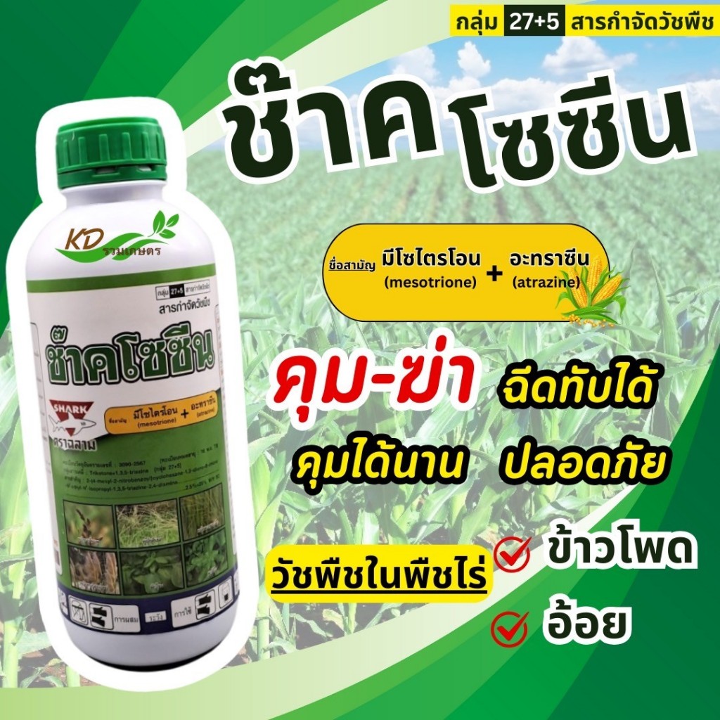 ช๊าคโซซีน คลุมหญ้านาน 3 เดือน มีโซไตรโอน+อะทราซีน-สารกำจัดวัชพืช*(ฉลาม)* ในไร่ข้าวโพด อ้อย กำจัดวัชพืชใบแคบและใบกว้าง