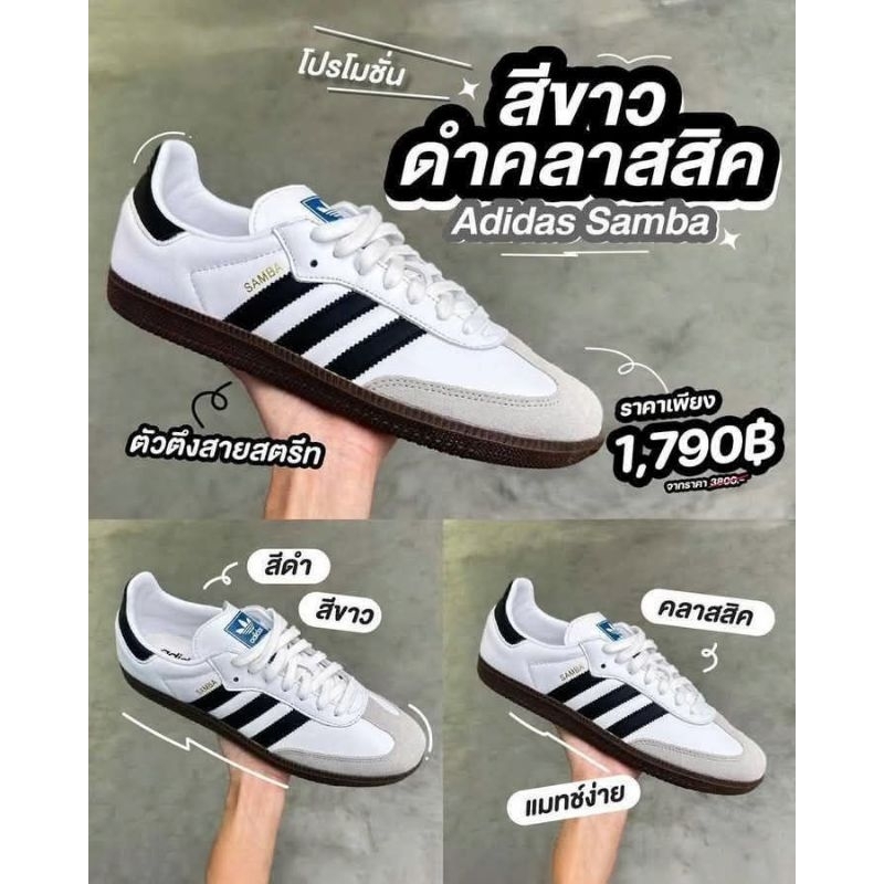 รองเท้า​ผ้าใบ​  สไตล์​เท่​   zamba​