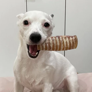 หลอดลมวัว Beef Trachea ขนมน้องหมา Hoya Barkery Dog Treats