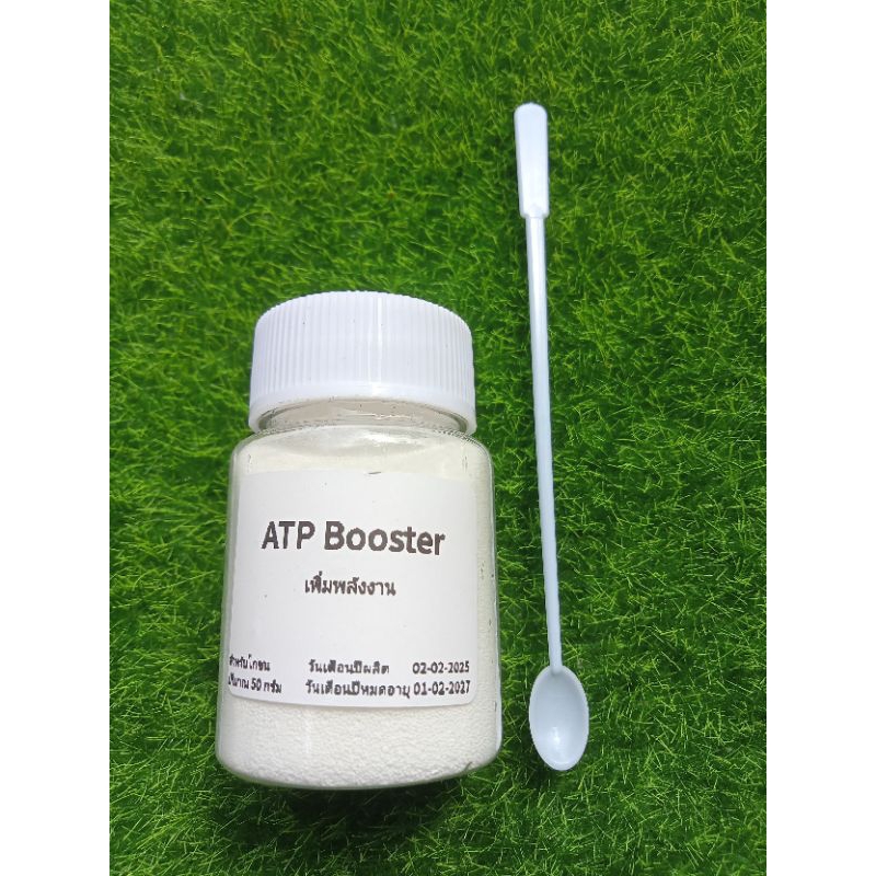 ฅ.มักไก่ ATP บินดี ตีเเรง เเรงไม่ตก