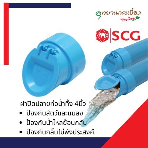 SCG ตราช้าง ฝาปิดปลายท่อน้ำทิ้ง PVC ขนาด 2นิ้ว 4นิ้ว