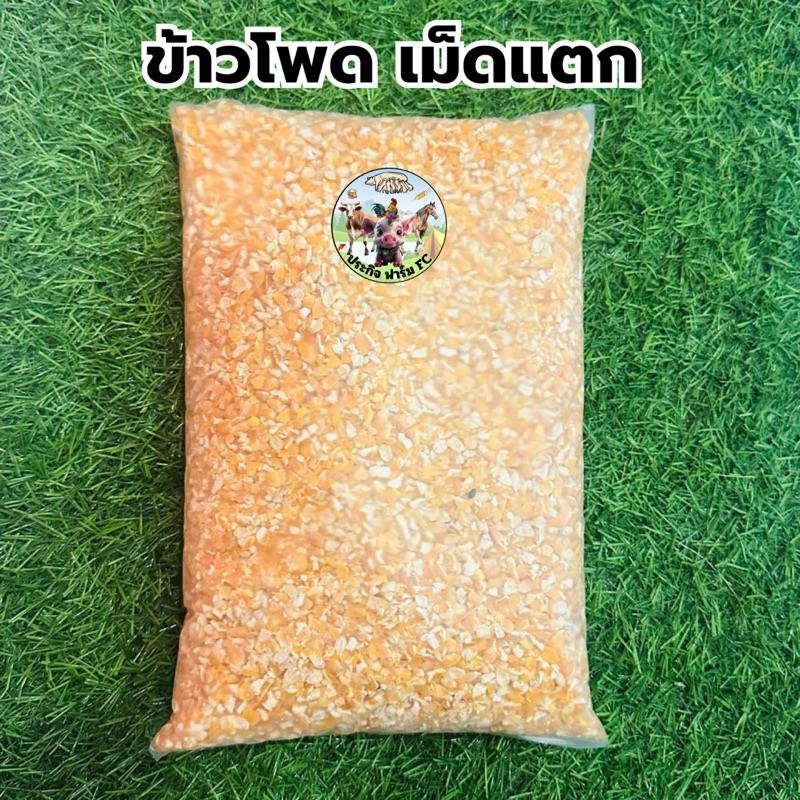 ข้าวโพดเม็ดแตก ข้าวโพดเลี้ยงสัตว์ ไก่ชน นก อาหารสัตว์ ขนาด 1 กิโลกรัม