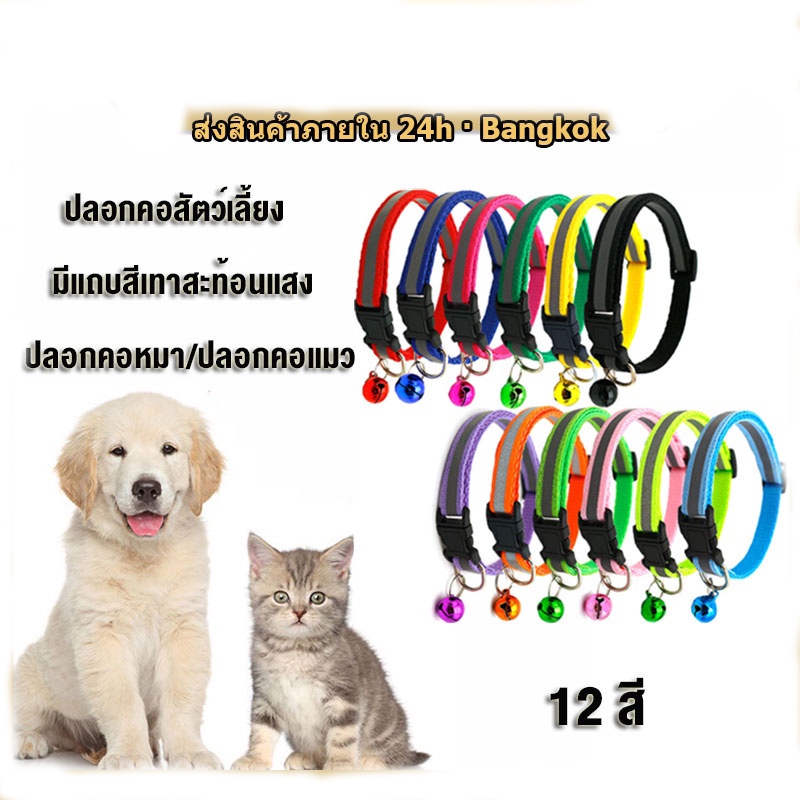 ปลอกคอสัตว์เลี้ยง ปลอกคอสะท้อนแสง ปลอกคอสะท้อนแสงมีกระดิ่ง ปลอกคอสุนัขและแมวป้องกันสัตว์เลี้ยงสูญหาย ปลอกคอแมว ปลอกคอสุน
