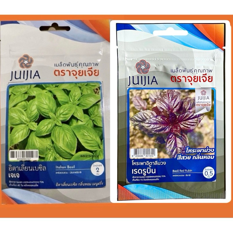 เมล็ดโหระพา อิตาเลี่ยน เบซิล italian basil (เขียว,ม่วง)