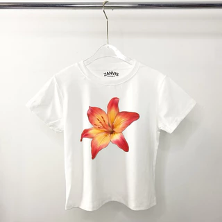(Zanvis tee)เสื้อครอปเข้ารูป Baby tee 5 size ทรงสวย เก็บทรงดูผอมผ้าคอตตอลยูนิ สกรีนลายเนื้อนุ่ม ใส่สบาย ยืดได้เยอะ