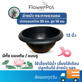 ขนาด 12 นิ้ว กระถางชวนชม(เจาะรู) / อ่างบัว(ทึบ) สีดำ พลาสติก