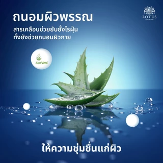 LOTUS ที่นอนสุญญากาศ พ็อกเก็ตสปริงเสริมยางพารา รุ่น Asleep ดีไซน์แบบไร้ขอบ ส่งฟรี