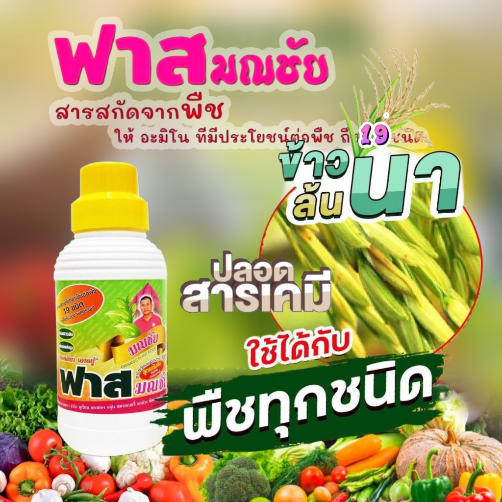 ฟาสมณชัย 1ลิตร สารสกัดอินทรีย์ เพิ่มผลผลิต ติดดอก ออกผล บำรุงต้น ฮอร์โมนพืช ปุ๋ยอินทรีย์ ฟาส เร่งดอก ปุ๋ยใบ ปุ๋ยน้ำ