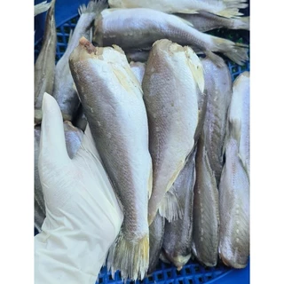ปลาจวดเทียนแดดเดียว จวดเทียน (สูตรเค็มน้อย)แพค 500g สด สะอาด อร่อย เค็มกำลังดี ไร้สารเคมี