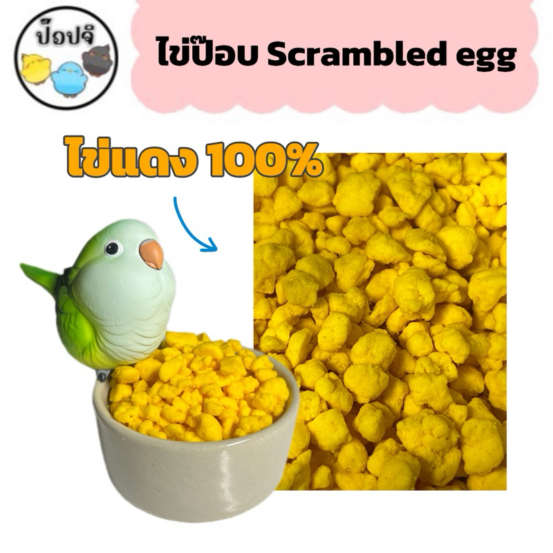 ไข่ป๊อบ อาหารเสริมนกแก้วและสัตว์ฟันแทะ ทำจากไข่แดง 100% พร้อมส่ง