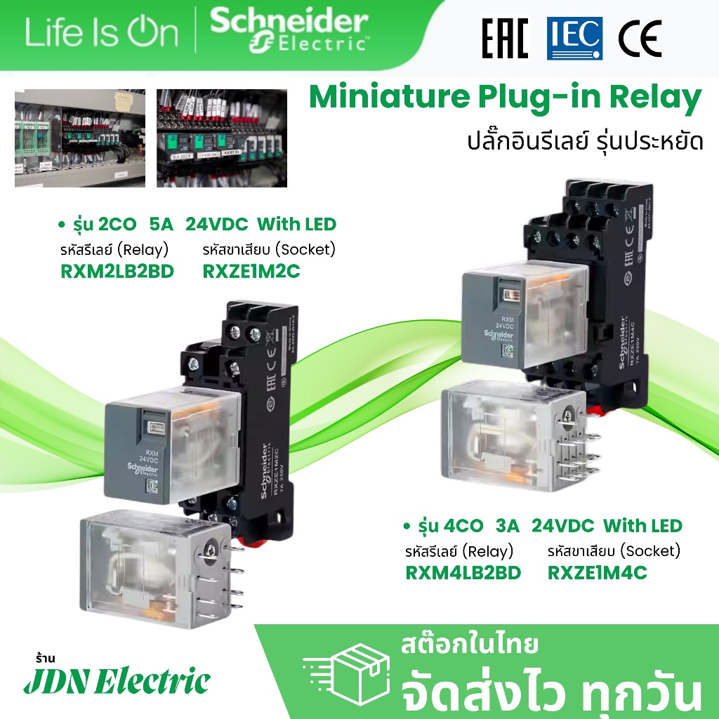 24VDC RXM2LB2BD RXM4LB2BD Miniature Plug-in Relays | ปลั๊กอินรีเลย์ รุ่นประหยัด | สต๊อกในไทย ส่งไว ท