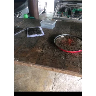ผงไข่เน่า เหยื่อกำจัดแมลงวัน ฆ่าแมลงวันขั้นเทพ ใช้ฆ่าแมลงวันบ้าน ตราไก่