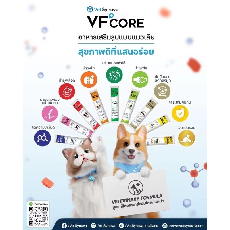 VFCore อาหารเสริมแมวเลีย วิตามินสุนัข ยกกล่อง 30 ซอง
