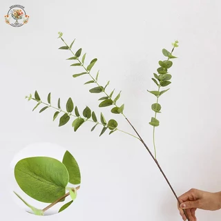 ใบไม้ปลอม 🌿 ใบไม้ตกแต่ง พร็อพถ่ายรูป สไตล์มินิมอล ใบยูคาลิปตัส อเนกประสงค์ ตกแต่ง ดอกไม้ จัดห้อง ตกแต่ง
