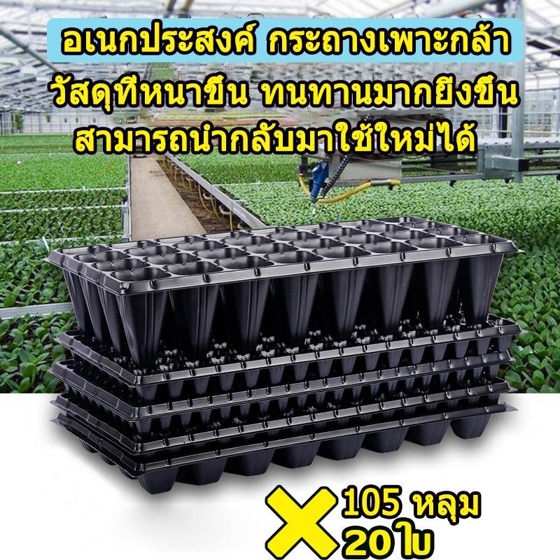 105หลุม ถาดเพาะกล้า ถาดเพาะชำ ถาดเพาะต้นกล้า ถาดเพาะต้นอ่อน ถาดเพาะเมล็ด ถาดเพาะปลูกผัก เพาะเมล็ด