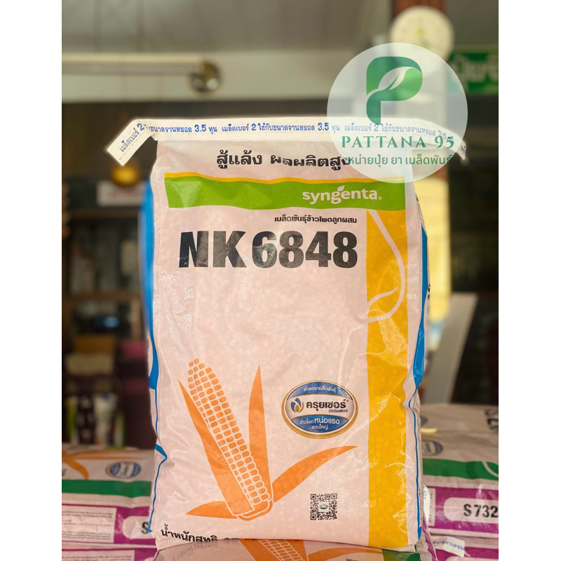 เมล็ดพันธุ์ข้าวโพด NK 6848 (3หุน,3.5หุน) *ขนาด 10 กก. ทนแล้ง ปลูกถี่ได้ ลำต้นแข็งแรง ปรับตัวได้ดีกับ