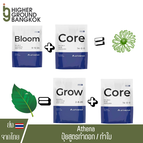 [ของแท้] Athena ปุ๋ยสูตรทำดอก / ทำใบ Glow Core Bloom มีหลายขนาดให้เลือก