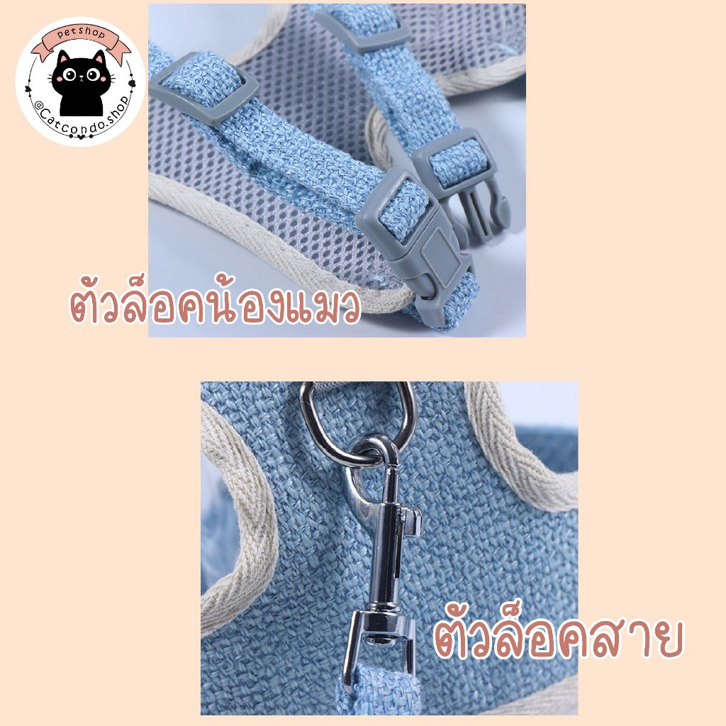 🌵 สายจูงแมวรัดอก สายจูงแมว สำหรับสัตว์เลี้ยง ลายหมี ฟรีไซส์ 6-12กก. พร้อมสายจูง 🌵 - รูปที่ 3