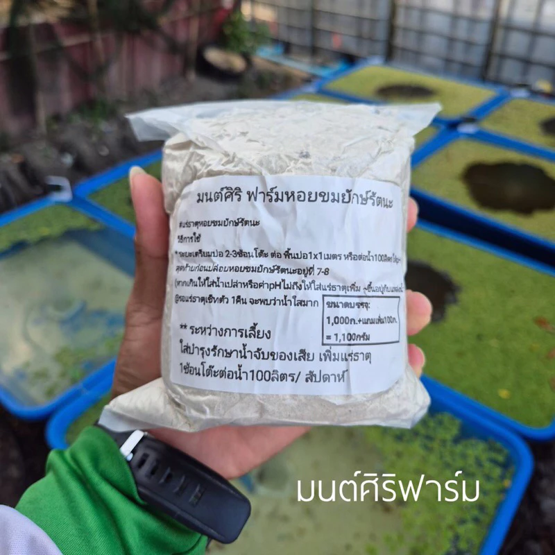 แร่ธาตุหอยขมยักษ์รัตนะ สูตรเข้มข้นเร่งการโต ลดการตาย แก้ปัญหาเปลือกผุ