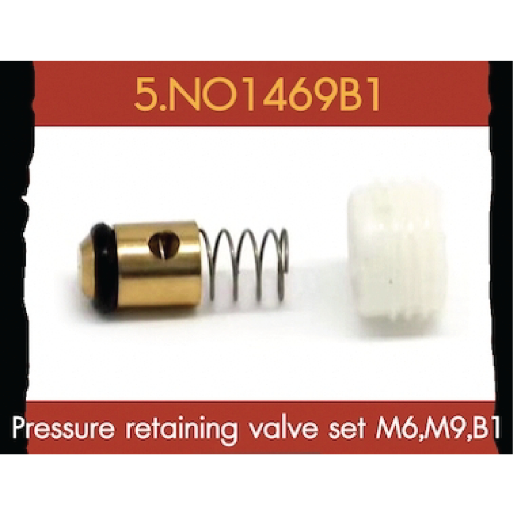 Flow Energy - NO1469B1 อะไหล่ หัวปั๊มเก่า ชุด Pressure retaining valve set M6 /M9 / B1