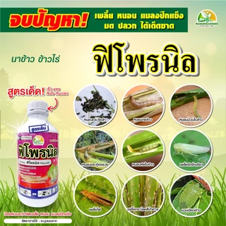ยากำจัดบั่ว ยาดูดซึม ถูกตัวตาย กินตาย ฟิโพรนิล5% หนอนกอ ปลวก มอด เพลี้ยไก่แจ้ เพลี้ยจักจั่น แมลงค่อมทอง ด้วง
