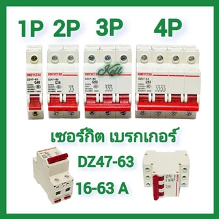 Circuit Breaker 10A-63A DZ47 1P/2P/3P/4P เซอร์กิตเบรกเกอร์