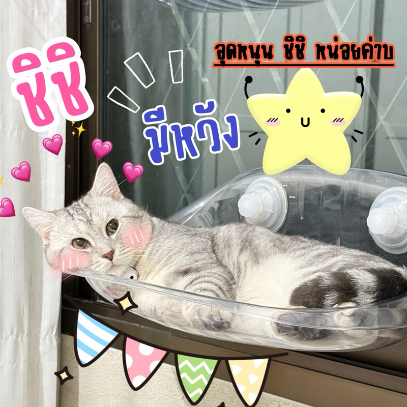 ตะกร้าชิชิมีหวัง รวมสินค้า ราคาน่ารัก สินค้าทดลอง จุ๊บจิ๊บน่ารัก