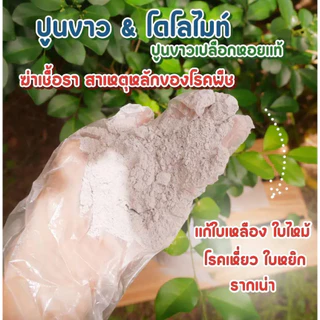 ปูนขาวเปลือกหอยเผาโดโลไมท์ 900g. บดละเอียด แก้ปัญหาพืช ฆ่าเชื้อรา ปูนขาวผสมแร่โดโลไมท์ 100% ปูนเปลือกหอยแท้