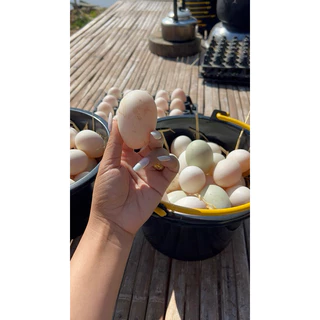 ไข่เป็ดสด10-20-30ฟองสดใหม่ส่งตรงจากฟาร์มเราเองฟาร์มมาตรฐานGFM