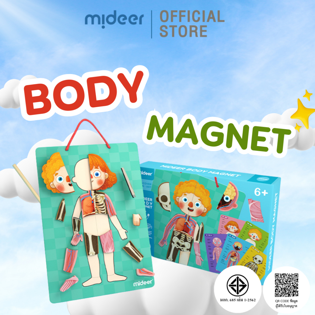 Mideer มิเดียร์ Body Magnet มิเดียร์ ชุดแม่เหล็กเรียนรู้ร่างกายมนุษย์