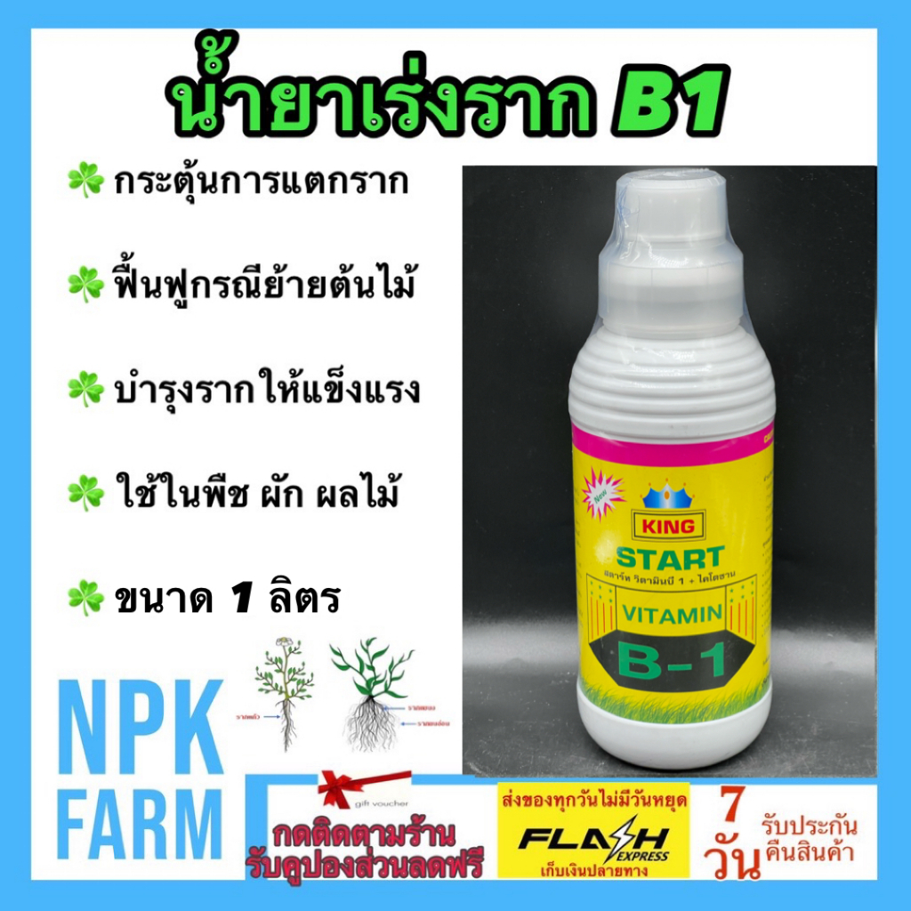 บี1 เร่งราก + ไคโตซาน ขนาด 1 ลิตร น้ำยาเร่งราก B-1 บี-วัน ยาเร่งราก สตาร์ท บี1 ปุ๋ยน้ำ ฮอร์โมนพืช