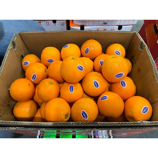 พร้อมส่ง‼️ส้มนาเวล ส้มซันคิสต์ ส้มซันควิก Navel Sunkist