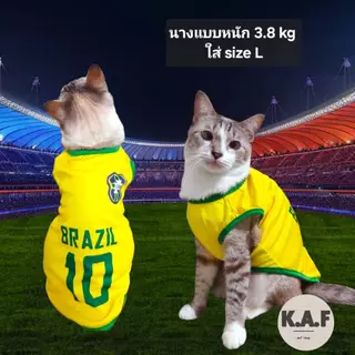 (B14)เสื้อพิมพ์ลาย สำหรับสัตว์เลี้ยง (*พร้อมส่งจากไทย!!*) ผ้าบางเบา สีสดใส