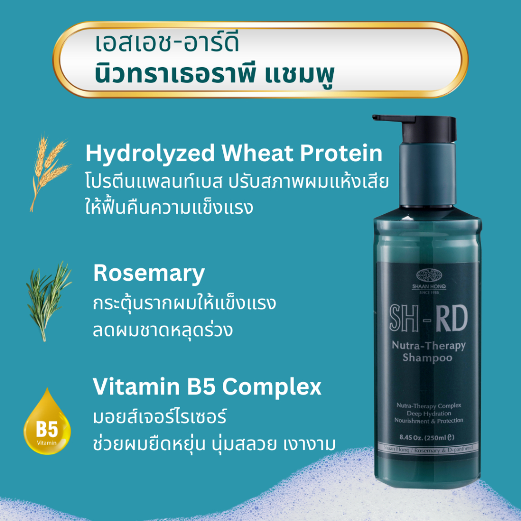 เอสเอช-อาร์ดี แชมพู นูทรา เธอราพี ขนาด 250 ml. SH-RD Nutra Therapy Shampoo รับเพิ่มฟรี! โปรตีนครีม 5