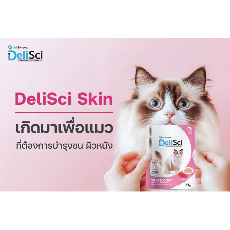 (ยกกล่อง 12 ซอง) DeliSci Skin pouch อาหารสูตรสำหรับการบำรุงผิวหนังและเส้นขนสำหรับน้องเหมียว