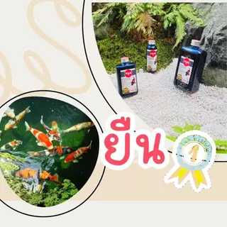 G💊ผลิตภัณฑ์สำหรับปลาคาร์ฟและปลาสวยงาม 100cc-500 cc