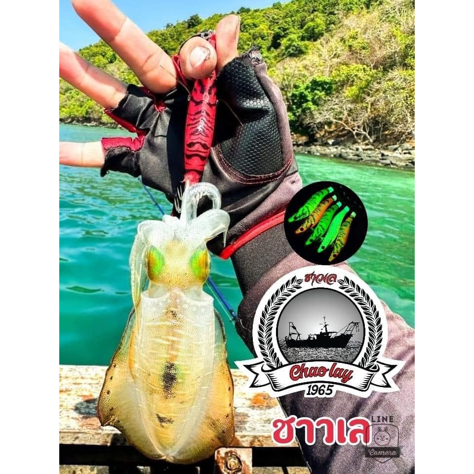 โยกุ้ง ชาวเล โยตกหมึก เรืองแสง สีใหม่!! รูปที่ 8