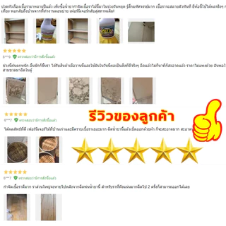 🔥นำเข้าจากญี่ปุ่น🔥 น้ำยาฆ่าเชื้อรา น้ำยากำจัดเชื้อรา สเปรย์กำจัดเชื้อรา 500ml สเปรย์ฆ่าเชื้อรา ทำความสะอาดขจัดคราบสกปรก