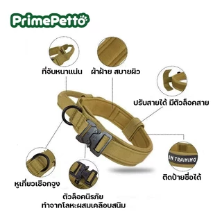 ปลอกคอสุนัขฝึก ตัวล็อคแบบนิรภัย ปลอกคอสุนัขขนาดใหญ่ วัสดุไนล่อนแข็งแรง สายปรับเข้าออกได้ ใช้ฝึกได้ดี