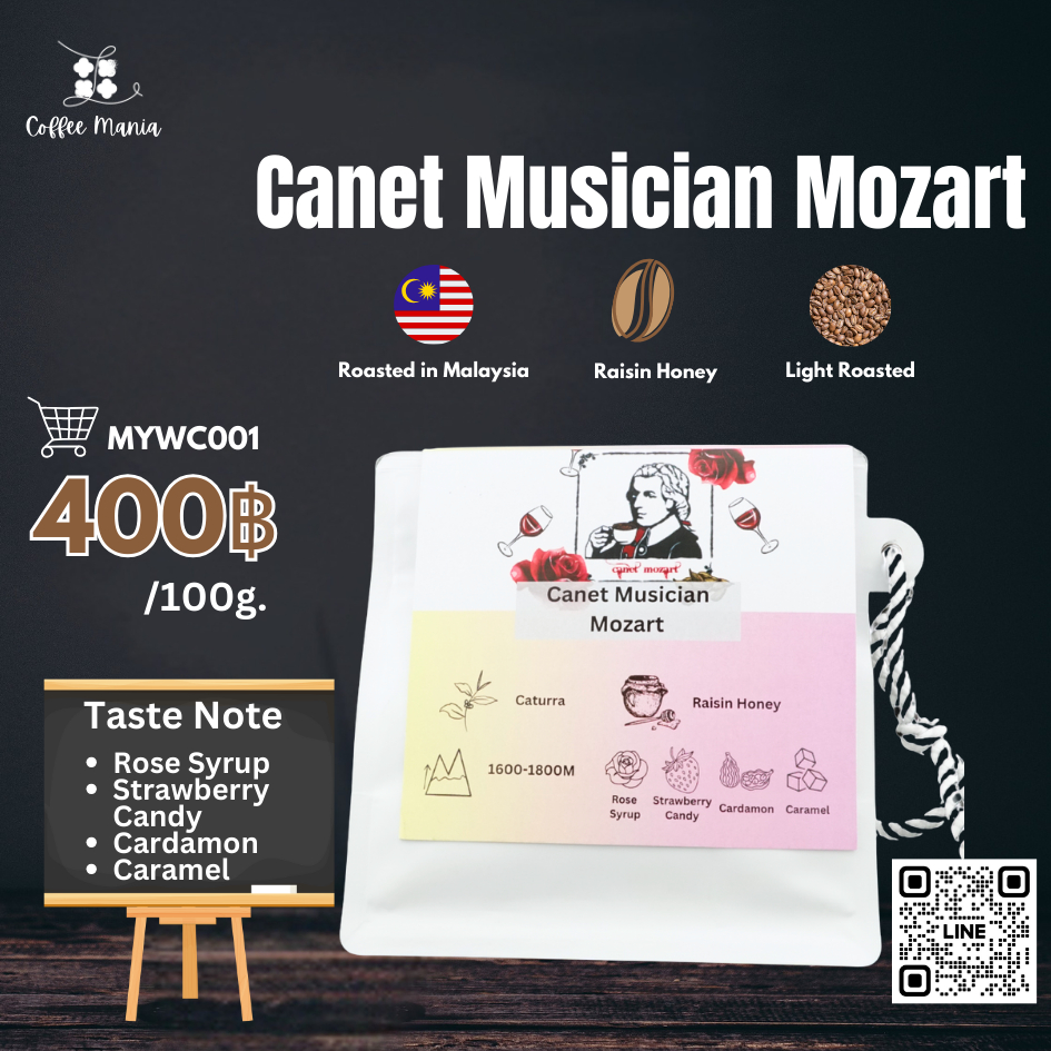 Coffeemania เมล็ดกาแฟคั่ว Canet Musician Mozart คั่วอ่อน 100กรัม Wells Coffee