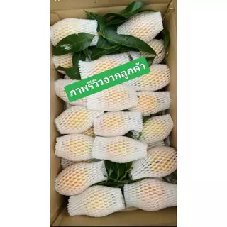 (1,000ชิ้น)ตาข่ายโฟม S10cm สีขาว,สีแดง ถุง 1,000 ชิ้น โฟมห่อผลไม้(สั่งซื้อไม่เกิน 2 ถุง)