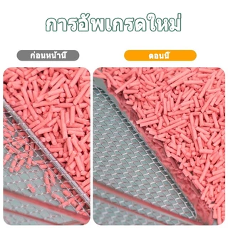 🐾 พลั่วตักทรายแมว ทราย แมว พลั่วขุดดิน พลั่วตักอึสัตว์เลี้ยง 2in1 ตะแกรงตักทรายแมวสแตนเลส ที่ตักทรายแมว ร่อนฝุ่น