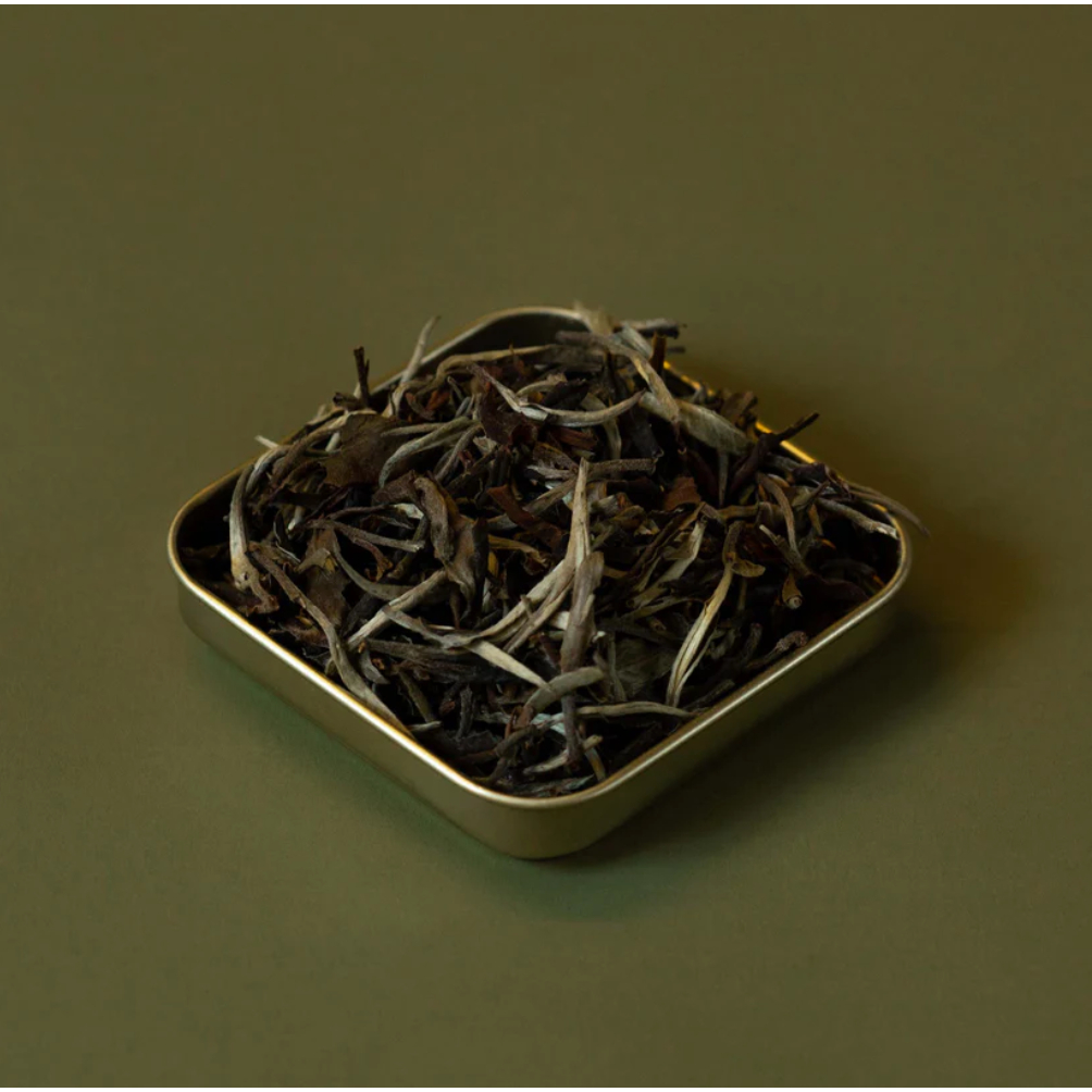 Premium Tea Dhara White ชาขาวพรีเมี่ยมจากป่าภาคเหนือของไทย ให้รสชาติละมุน กลิ่นหอมอ่อนๆ 100% ชาขาว ราคา ถูกที่สุด ดีลบีเคเค แกลเลอรีภาพที่ 2