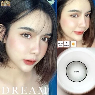 บิ๊กอาย Bigeye คอนแทคเลนส์ แบรนด์ WINK / ilens สีเทา-สีน้ำตาล ลายขายดี แถมตลับทุกคู่จ้า
