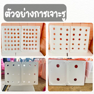 ฝากล่องโฟมปลูกผักไฮโดรโปนิกส์ (**เฉพาะฝา**) ฝากล่องโฟม เจาะฟรีตามสั่ง สามารถออกใบกำกับภาษีได้