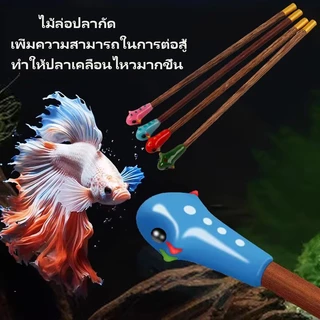 ไม้ล่อปลากัด ปลากัดสวยงาม ใช้สำหรับ หลอกล่อปลากัด จะทำให้ปลาว่ายน้ำพริ้วกว่า