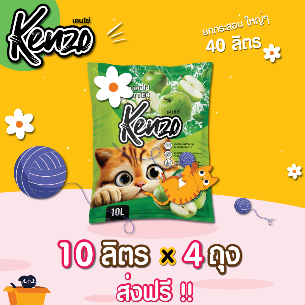 รูปภาพ 5