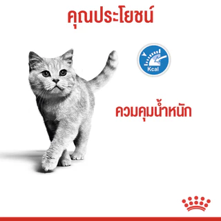 Royal Canin Light Weight Care รอยัลคานิน อาหารแมว แมวโต ควบคุมน้ำหนัก แคลน้อย ไขมันต่ำ 1.5 kg