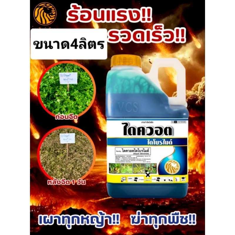 ยาฆ่าหญ้าเผาไหม้(ไดควอต)สารทดแทนพาราควอต